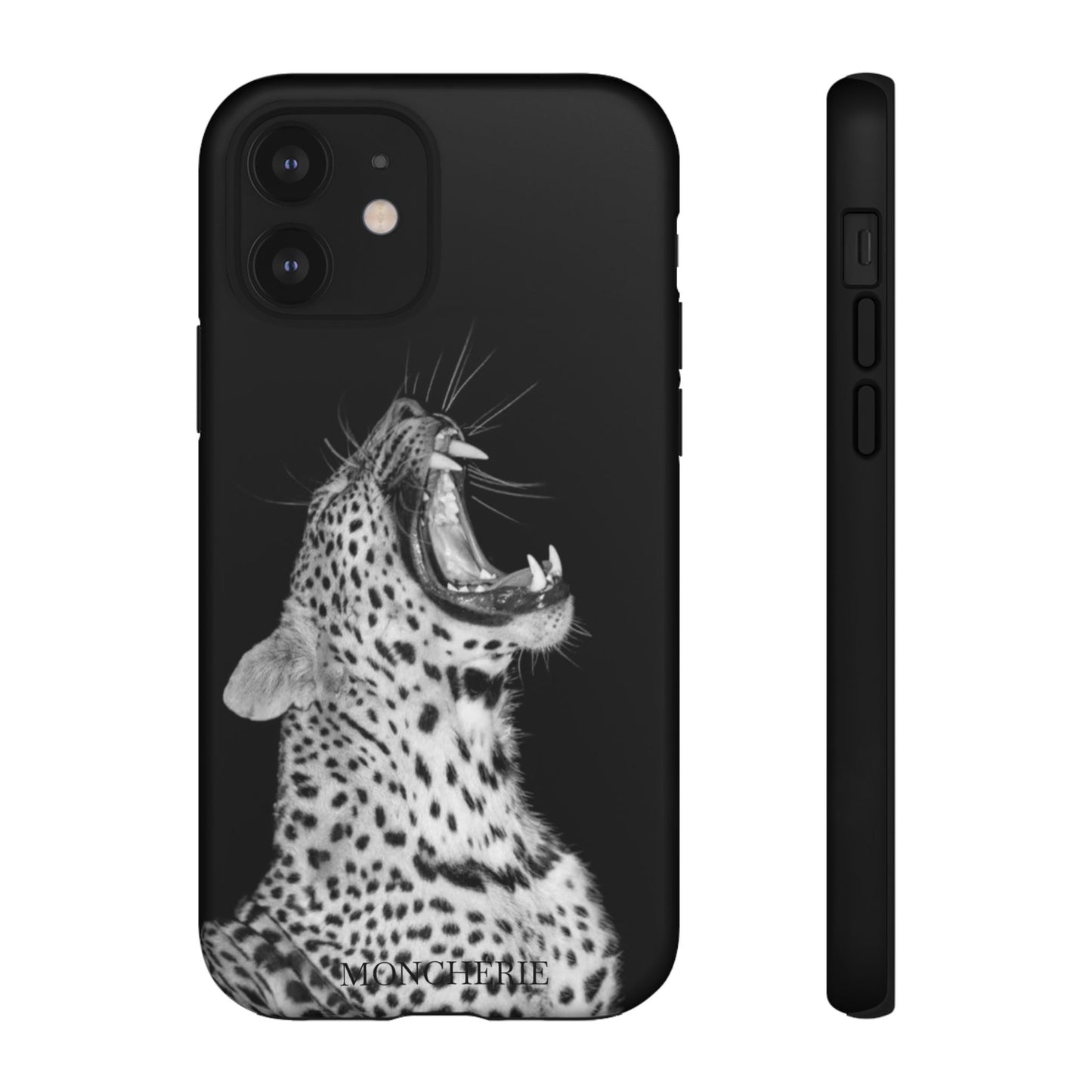 A icons case