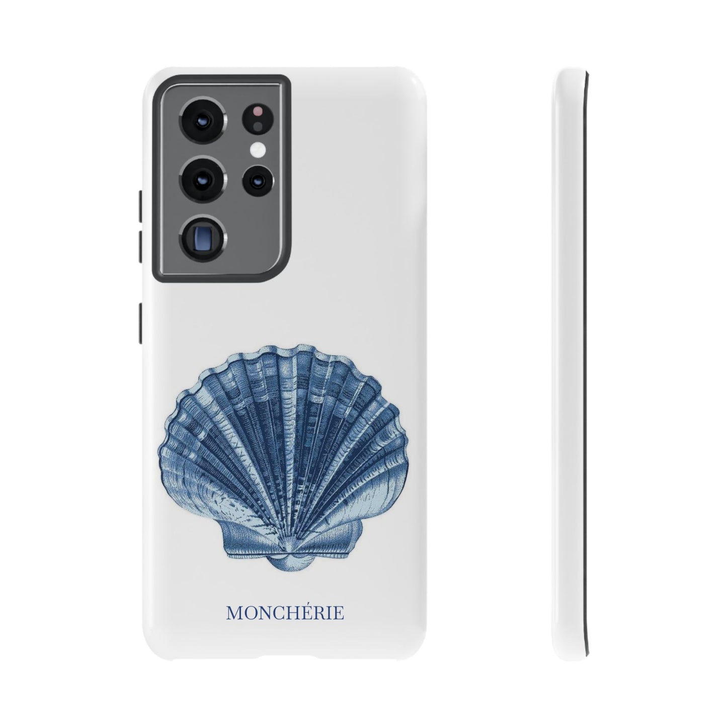 Sea Shell